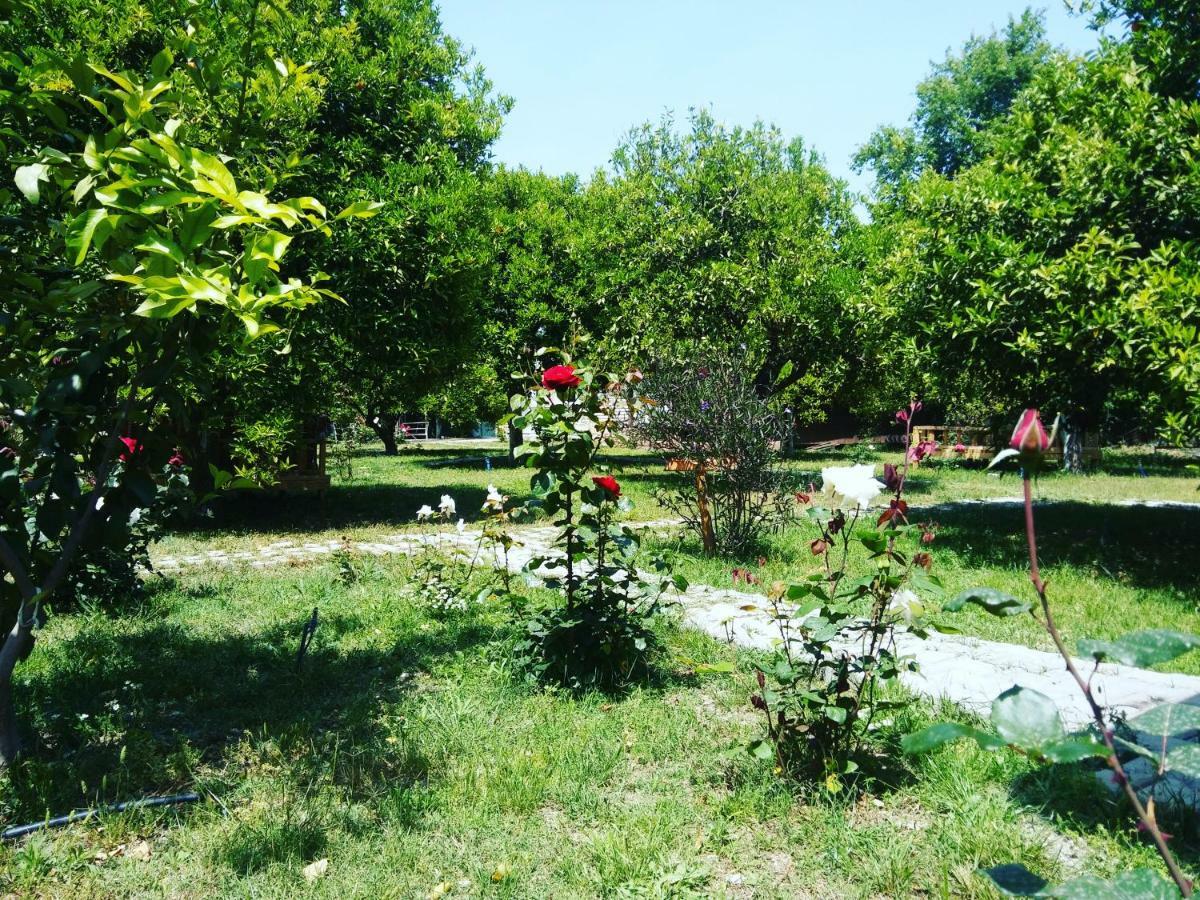 Sakli Bahce Pension Çıralı 外观 照片